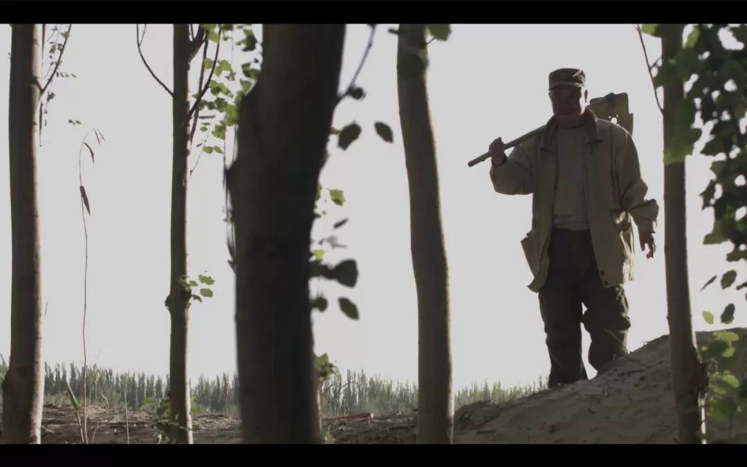 今晚劉伯溫四不像一肖圖，揭秘神秘預(yù)測背后的故事，揭秘劉伯溫四不像一肖圖的神秘預(yù)測故事