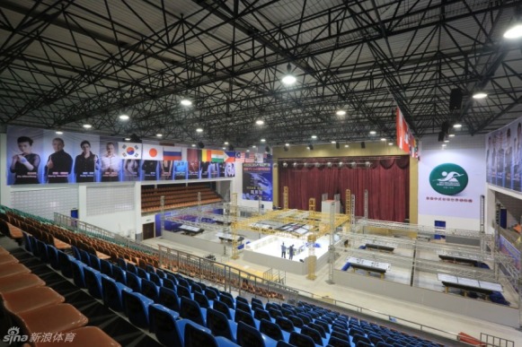 王中王一肖一馬中特平臺，探索與解析，王中王一肖一馬中特平臺深度探索與解析