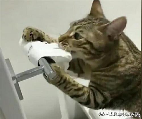 腹瀉拉稀水是什么原因，全面解析常見原因與應(yīng)對之策，腹瀉拉稀水的原因及應(yīng)對之策全面解析