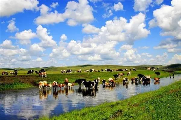 中國夏季旅游勝地前十名——夏日炎炎，赴一場清涼之旅，中國夏季旅游勝地TOP10，炎炎夏日，清涼之旅必選之地