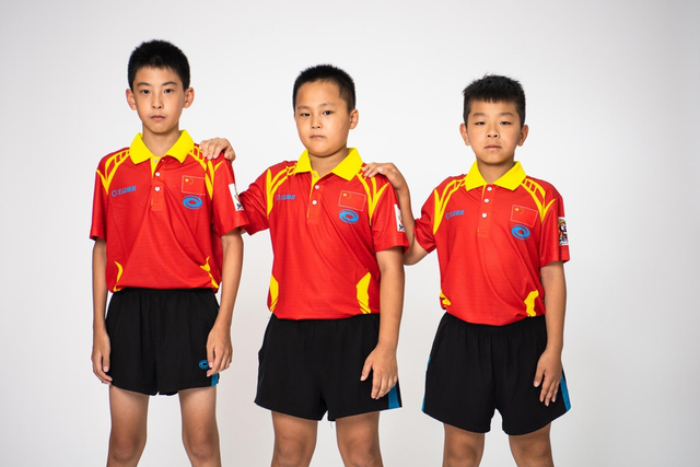 王中王白小姐四肖選一，揭秘背后的秘密與策略，揭秘王中王白小姐四肖選一背后的秘密與策略之道