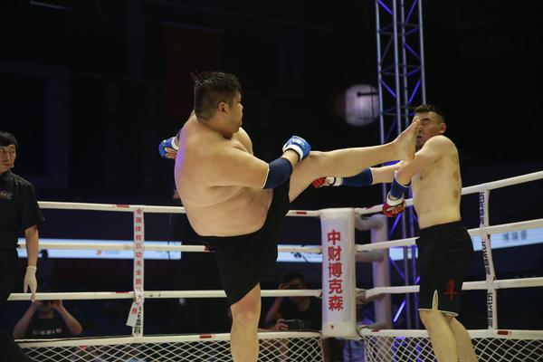 特特馬王中王一碼一肖，揭秘背后的秘密與探索SEO優(yōu)化策略，特特馬王中王一碼一肖，揭秘背后的秘密與SEO優(yōu)化策略探索