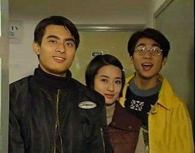 陳龍電視劇作品回顧，一部部經(jīng)典之作，陳龍經(jīng)典電視劇作品回顧，一部部鑄就傳奇的佳作