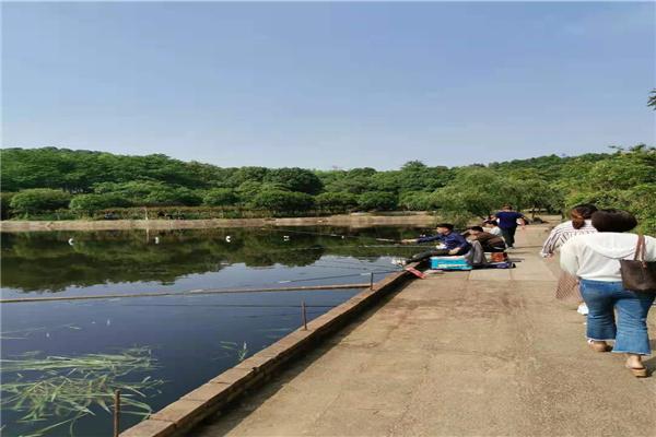 長沙市內(nèi)一日游，探尋千年古都的魅力之旅，長沙一日探秘千年古都之旅