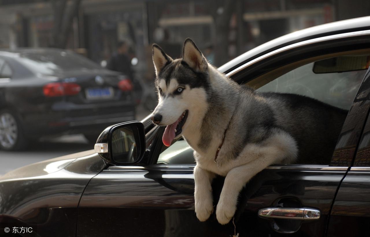 今晚九點(diǎn)三十分特馬開彩盛宴，揭秘彩票背后的秘密！，揭秘彩票背后的秘密，今晚九點(diǎn)三十分特馬開彩盛宴！