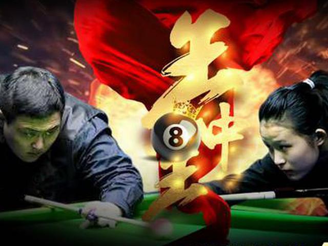 王中王一肖精準(zhǔn)資料大全，揭秘背后的秘密，王中王一肖資料揭秘，背后的秘密全解析